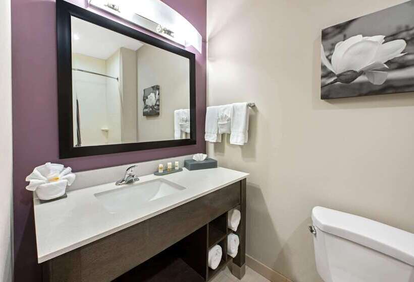 酒店 La Quinta By Wyndham Lake Charles Westlake