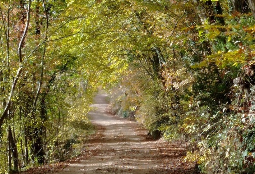 ベッドアンドブレックファースト Casale Ormano