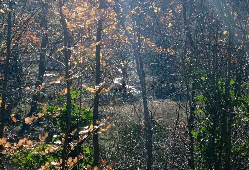 ベッドアンドブレックファースト Casale Ormano