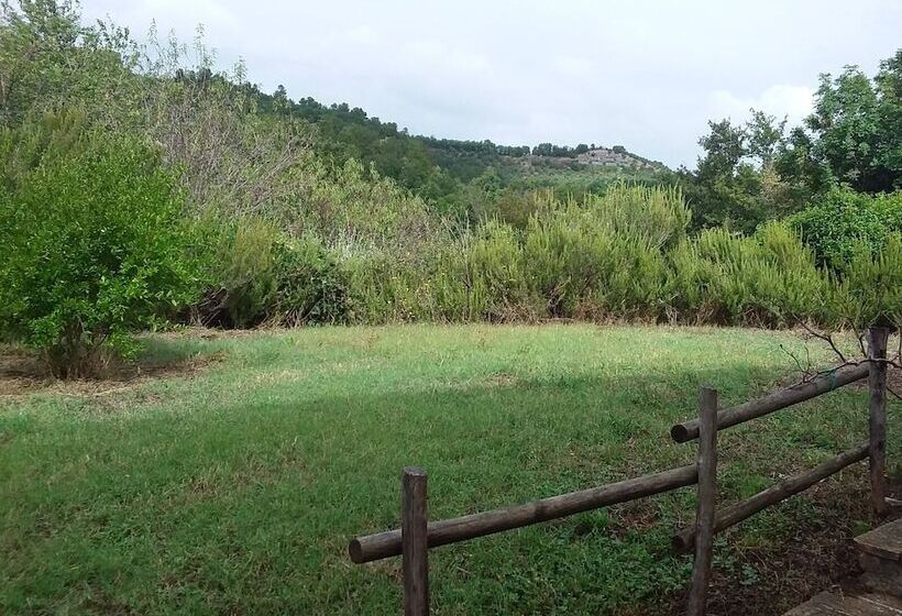 ベッドアンドブレックファースト Casale Ormano