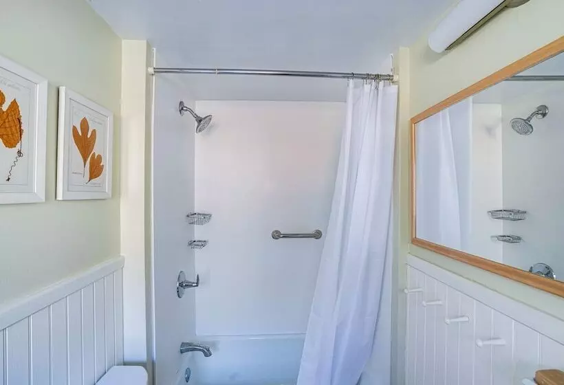 Cozy Berkshires Cottage W/ 11 Private Acres!