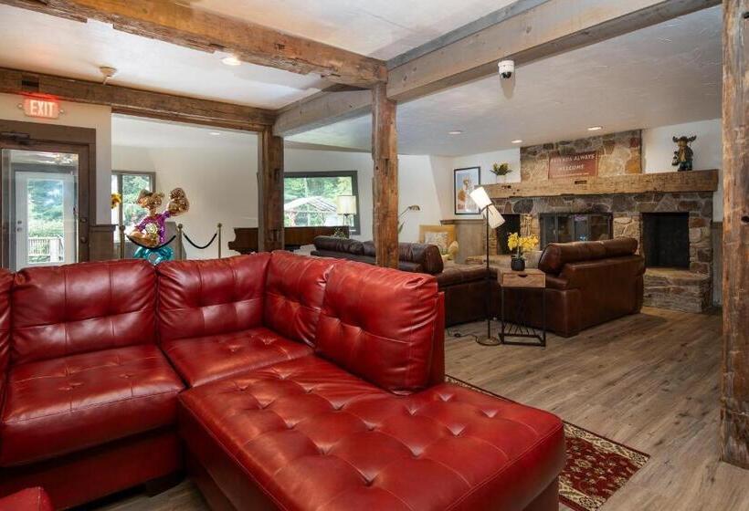 בית מלון כפרי Grey Bonnet Inn