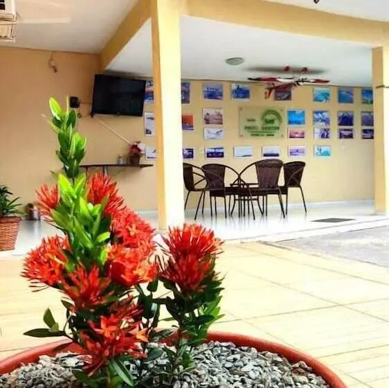 ホテル Pinto Martins