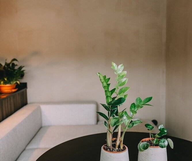 مبيت وإفطار Terrasense Mountain Charm Retreat & Farm