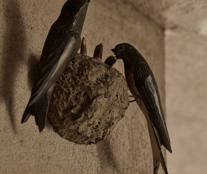 ホテル Monastik Living In Athina