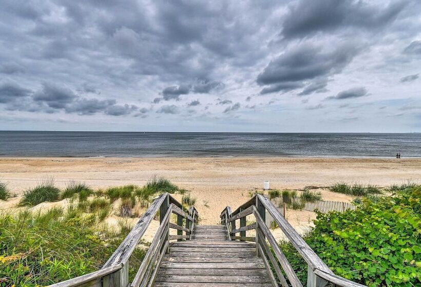 Norfolk Getaway W/ Yard, Bicycles, & Kayaks!