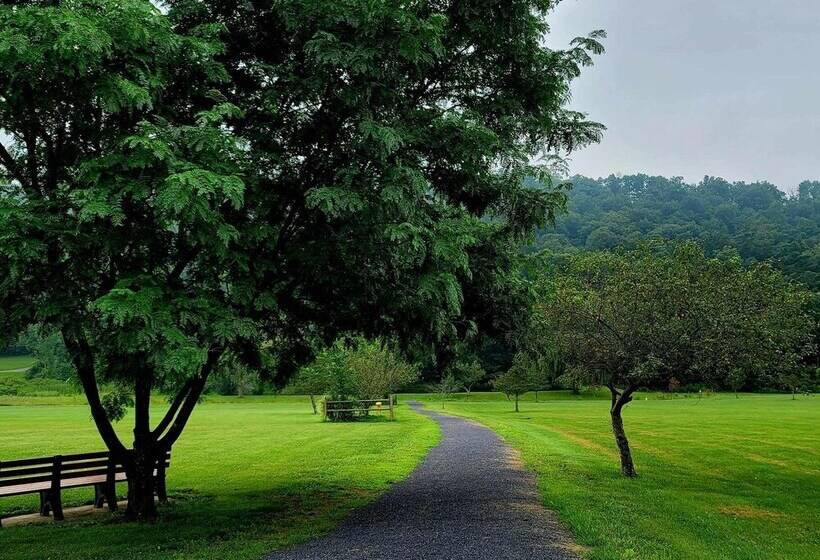 The Pause Bed & Breakfast