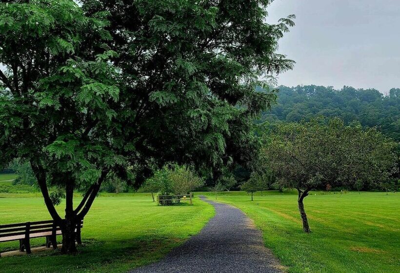 The Pause Bed & Breakfast