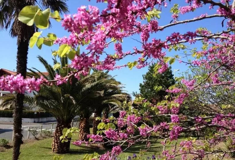 Hotelli Hôtel Bellevue