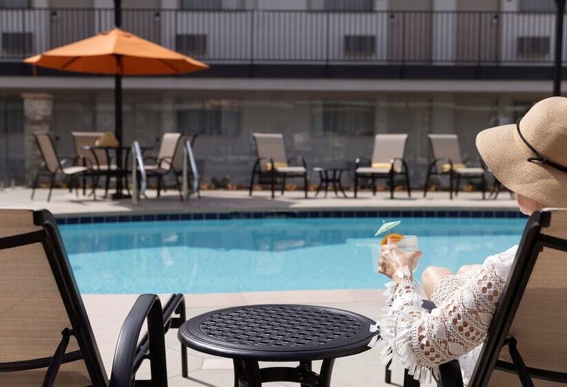 호텔 Orange Grove Inn