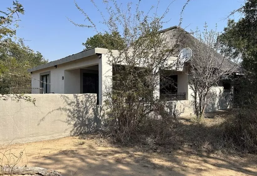 Leadwood Tree Safari Lodge