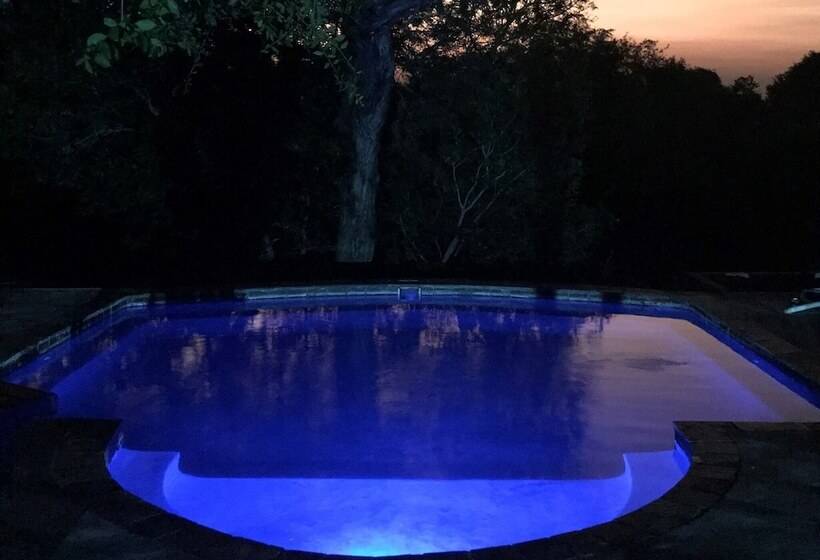 Leadwood Tree Safari Lodge