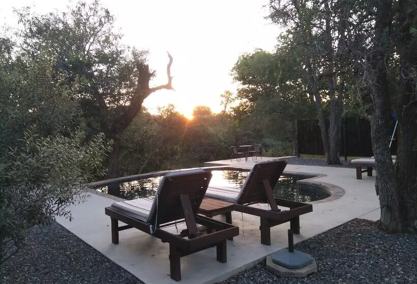 Leadwood Tree Safari Lodge