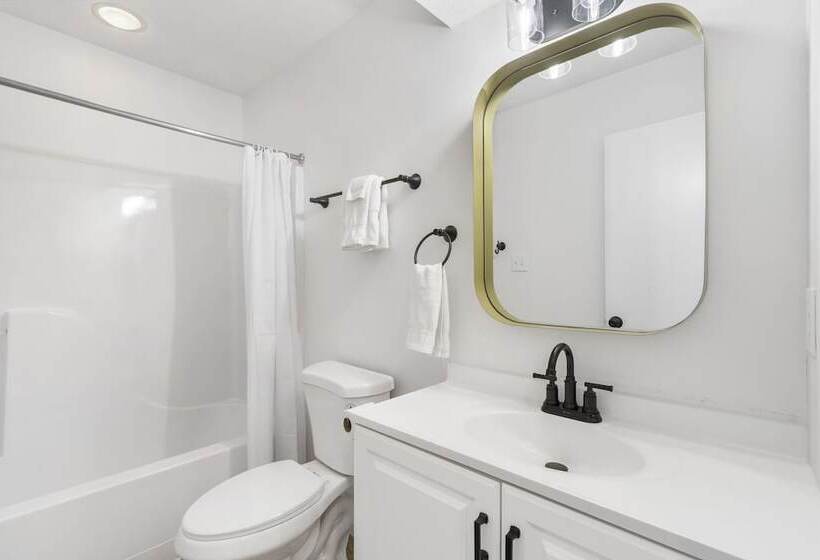 Mystic Woods Trio Branson