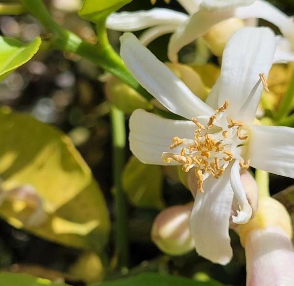 بنسيون Domaine De La Cascade Parfumée