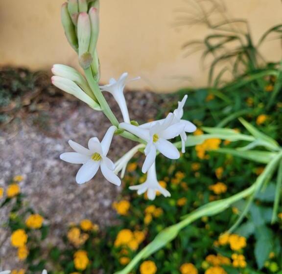 بنسيون Domaine De La Cascade Parfumée