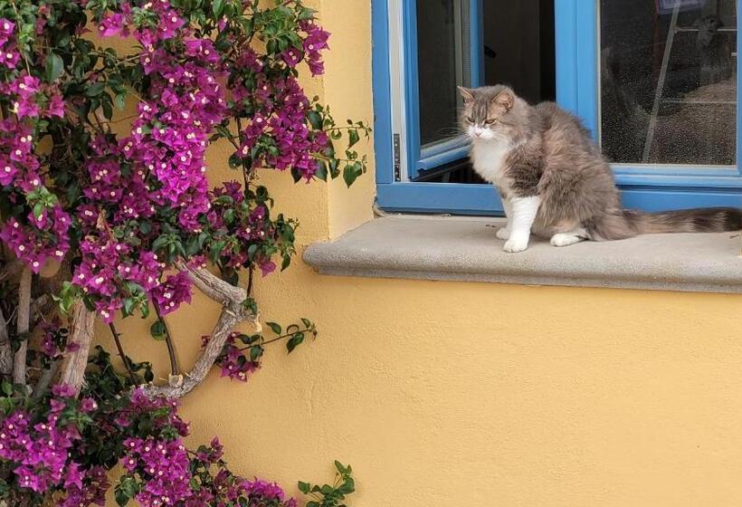 بنسيون Domaine De La Cascade Parfumée