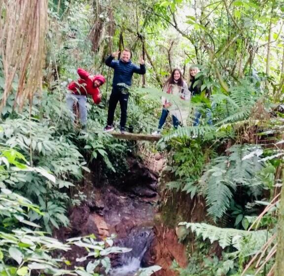 민박 Quinta Da Gavea Hospedaria E Quintal Criativo