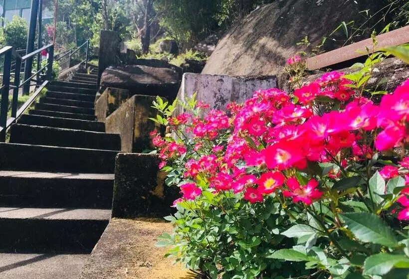 Hotelli Almost Heaven