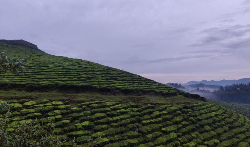 Отель Hill Bird Heritage Home Stay