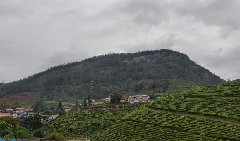 Отель Hill Bird Heritage Home Stay