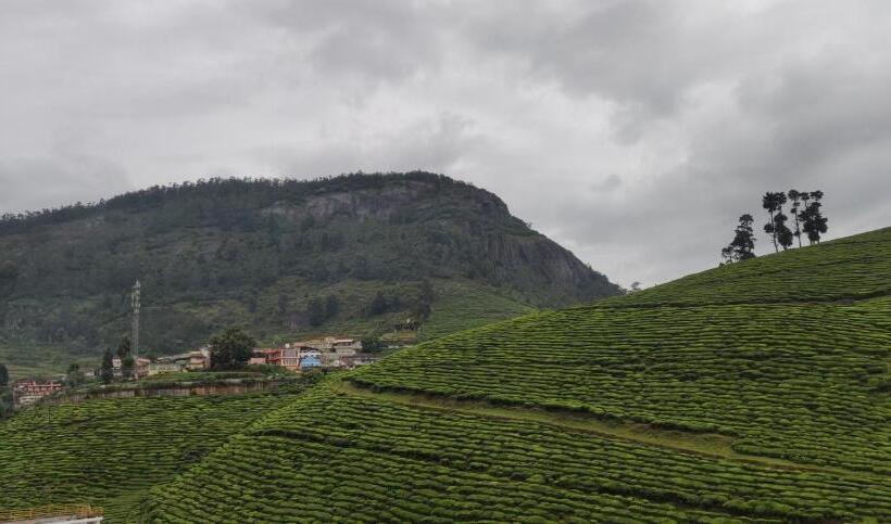 Отель Hill Bird Heritage Home Stay