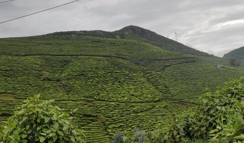 Отель Hill Bird Heritage Home Stay