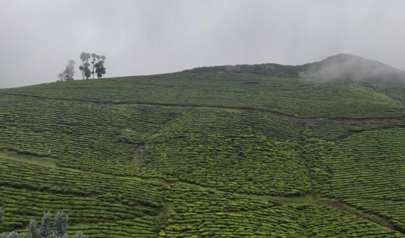 Отель Hill Bird Heritage Home Stay