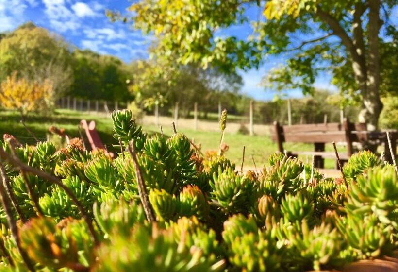 Пансион Levendula Porta és Pajtaszínház