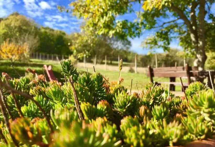 Majatalo Levendula Porta és Pajtaszínház