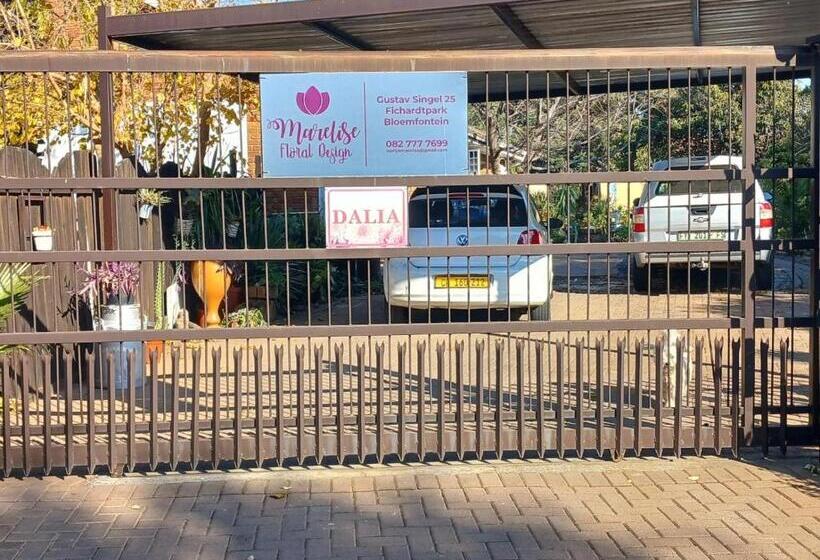 بنسيون The Flower Guest House