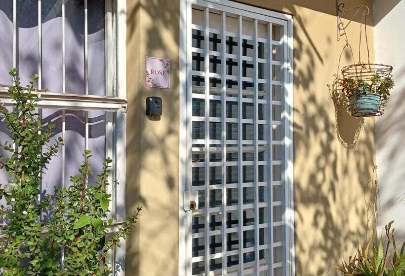 بنسيون The Flower Guest House