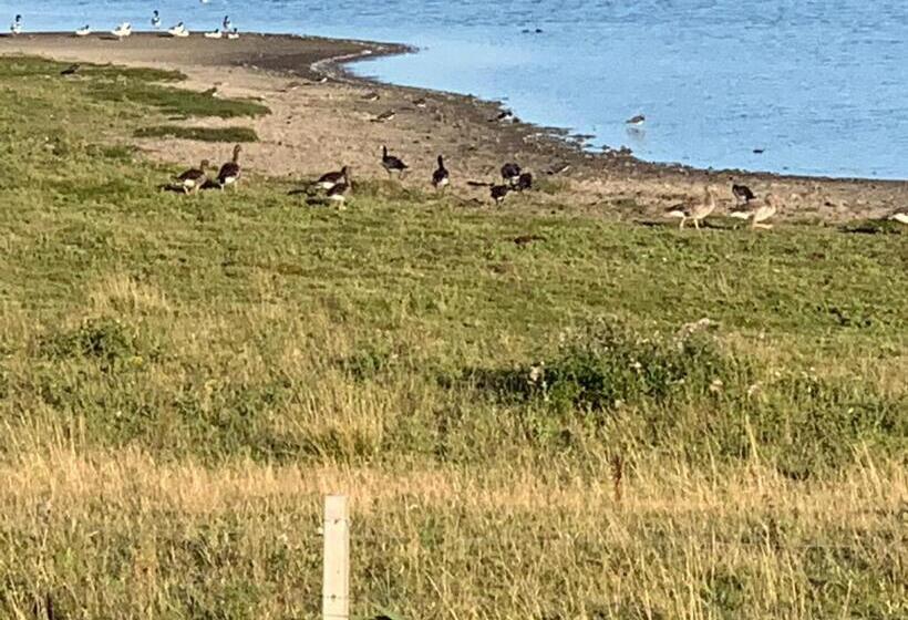 ベッドアンドブレックファースト Genieten Aan De Zeeuwse Kust