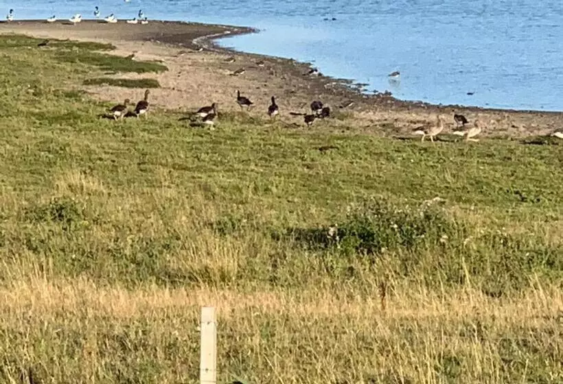 Aamiaismajoitus (B&B) Genieten Aan De Zeeuwse Kust