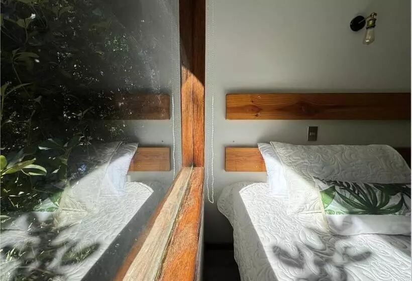 Magnolia Bed & Breakfast