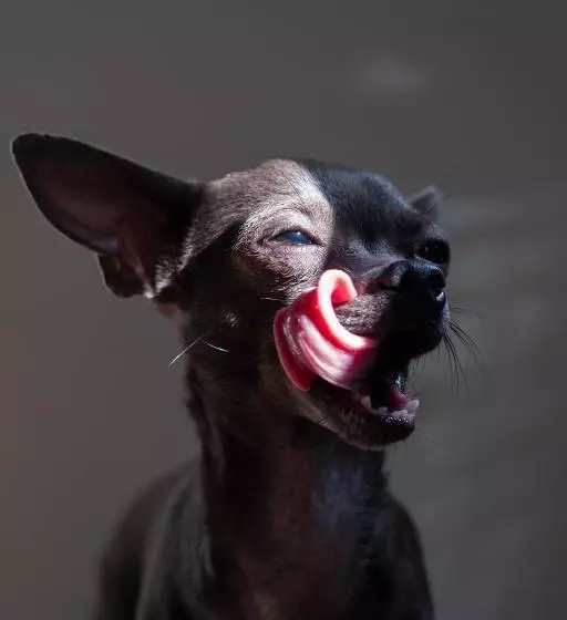 پانسیون Posada La Estela Barros