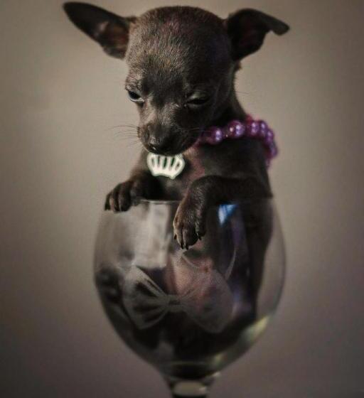 펜션 Posada La Estela Barros