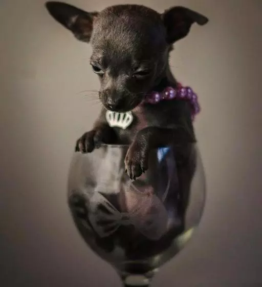 پانسیون Posada La Estela Barros