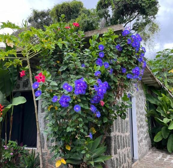 Pensionat Recanto Das Mangueiras