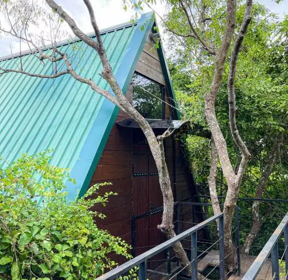 リゾートホテル The Wild Yala