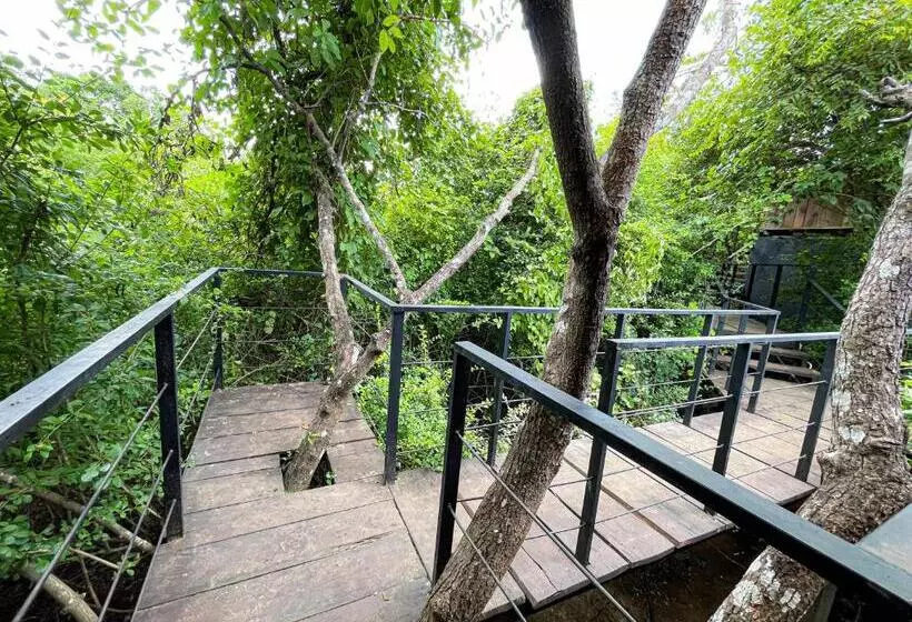 リゾートホテル The Wild Yala