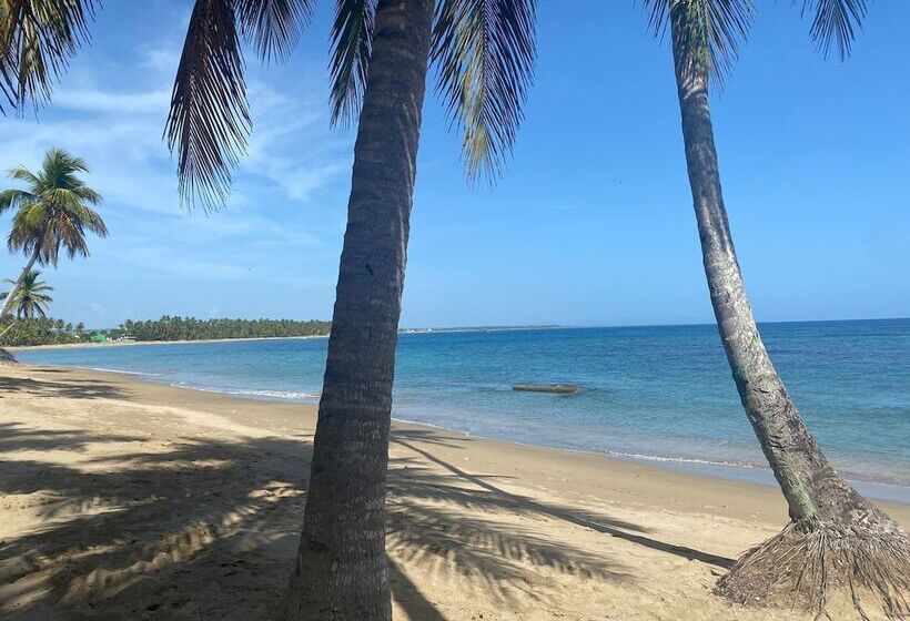 هتل The Palm Bay Club Lodge