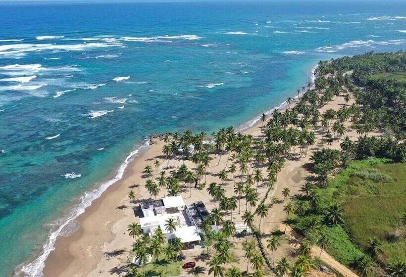 هتل The Palm Bay Club Lodge