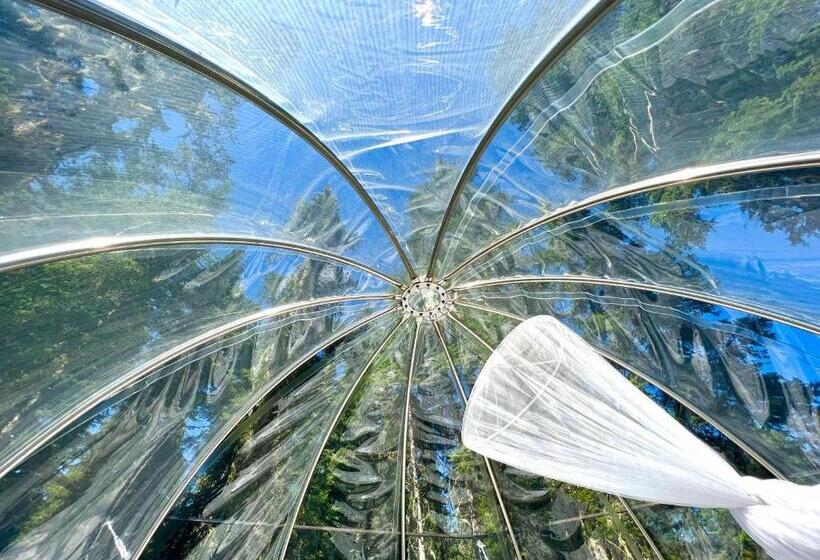 Triple G’s Resort   Sky Dome 1