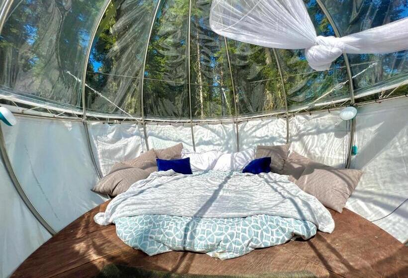 Triple G’s Resort   Sky Dome 1