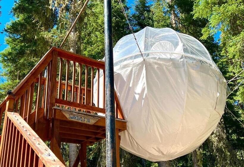 Triple G’s Resort   Sky Dome 1