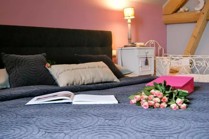 Aamiaismajoitus (B&B) Le Bonheur Des Hôtes