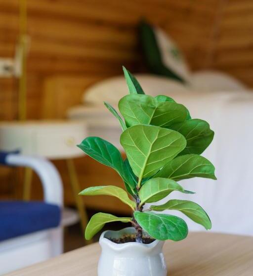 هتل Gạo Farm Stay