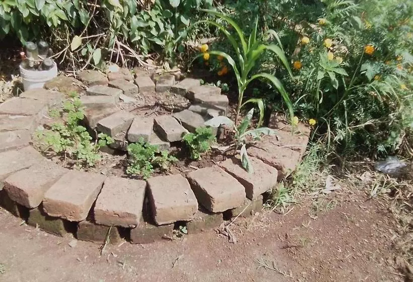 هتل Kimashuku Permaculture Garden