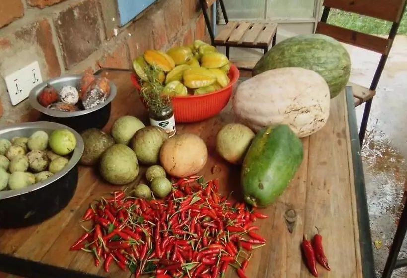 هتل Kimashuku Permaculture Garden